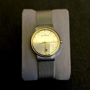 Skagen Steel Classic Silver Dial Stainless Steel Mesh Ladies Watch No. 355SGSC